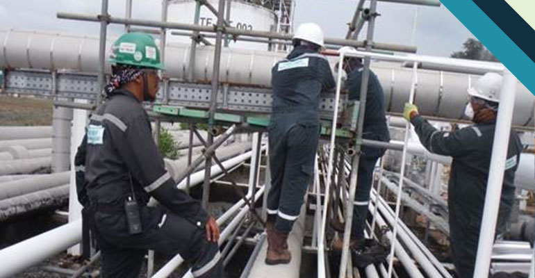 transismor-services-manpower-supply-01